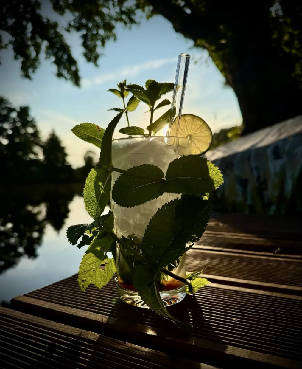 Dark Mojito