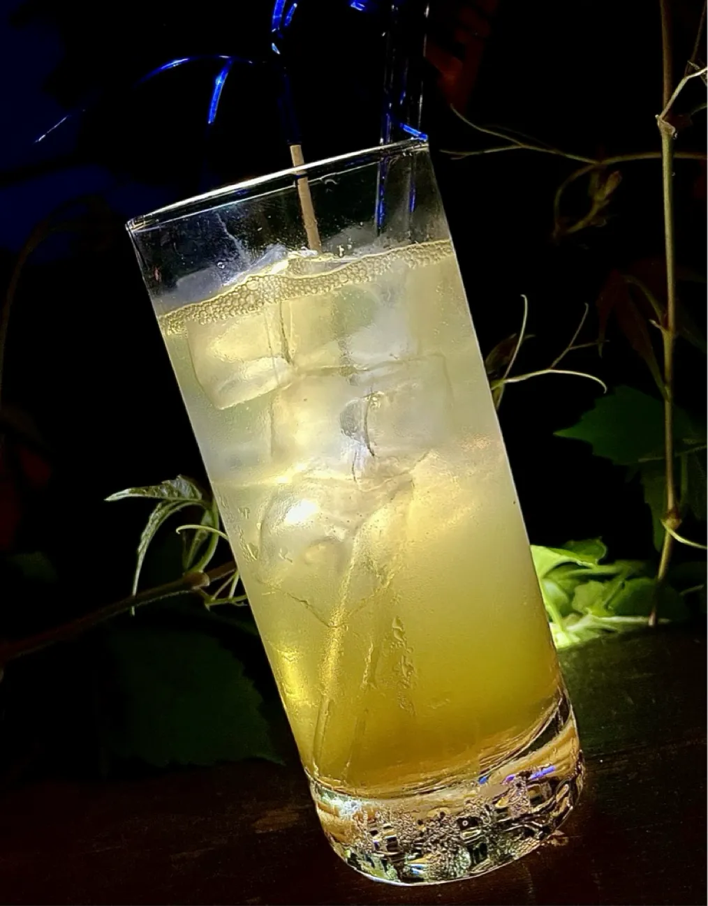 Gin Hazel
