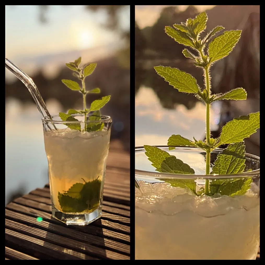 Lemonbalm Mojito