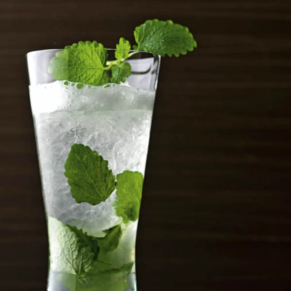 Lemonbalm Mojoto