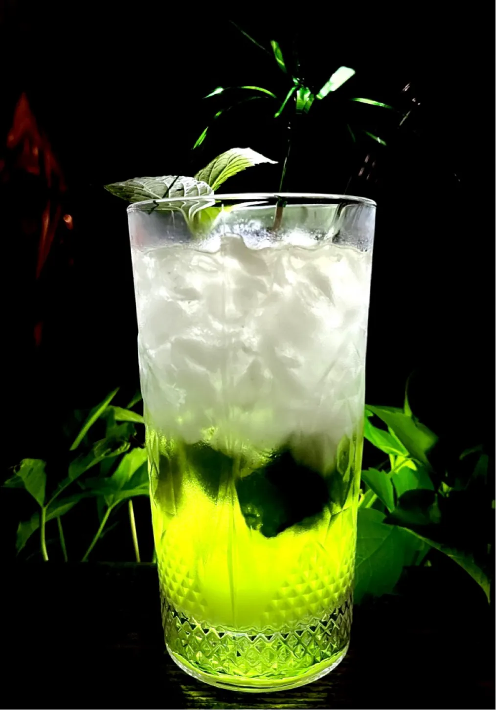 Martini Mojito