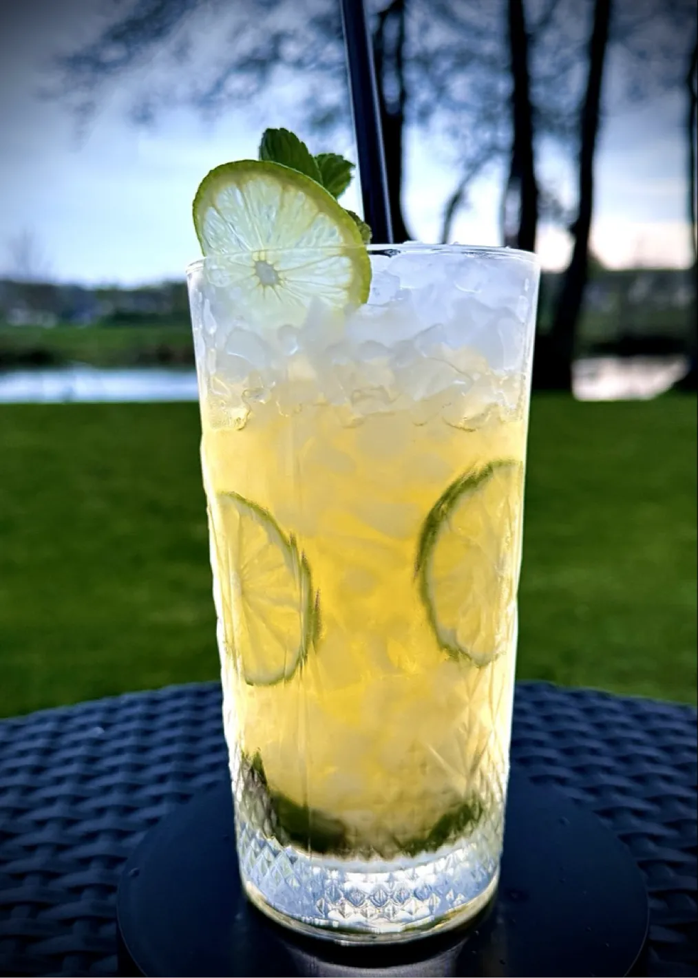 Queen s Park Swizzle