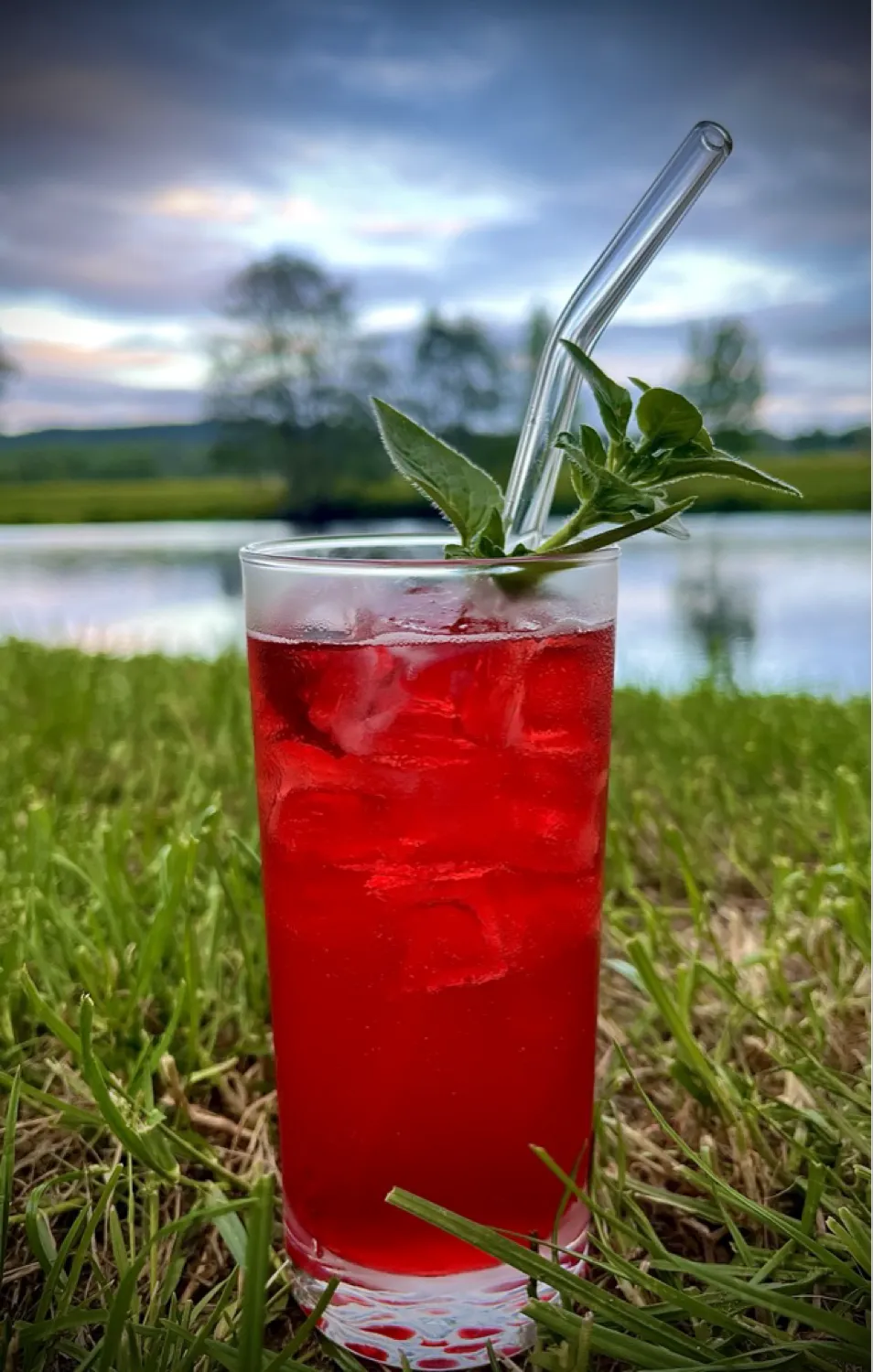 Roter Baron